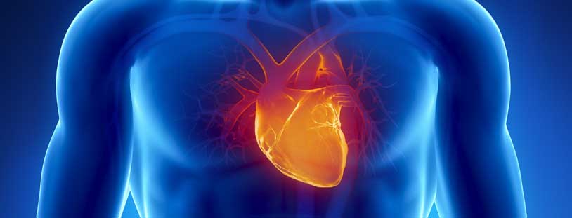 BHI_WEB_WORDPRESS_departments_cardiology-1